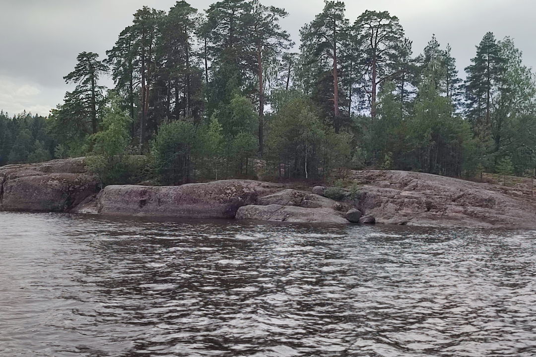 Водная прогулка на катере вдоль побережья  парка Монрепо — фото 6