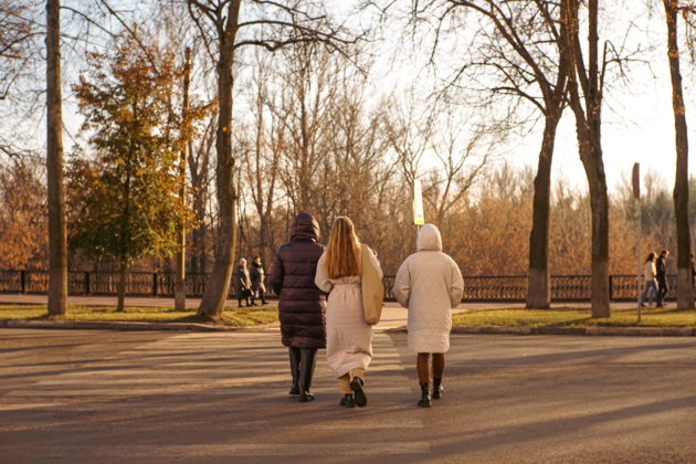 Виды Ярославль глазами знаменитых путешественников 