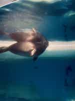 Экскурсия "Весенний Байкал — путешествие к истоку Ангары" - фото отзыва 1