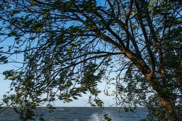 Виды Природа и архитектура Балтийского побережья (Куршская коса - Зеленоградск - Светлогорск)