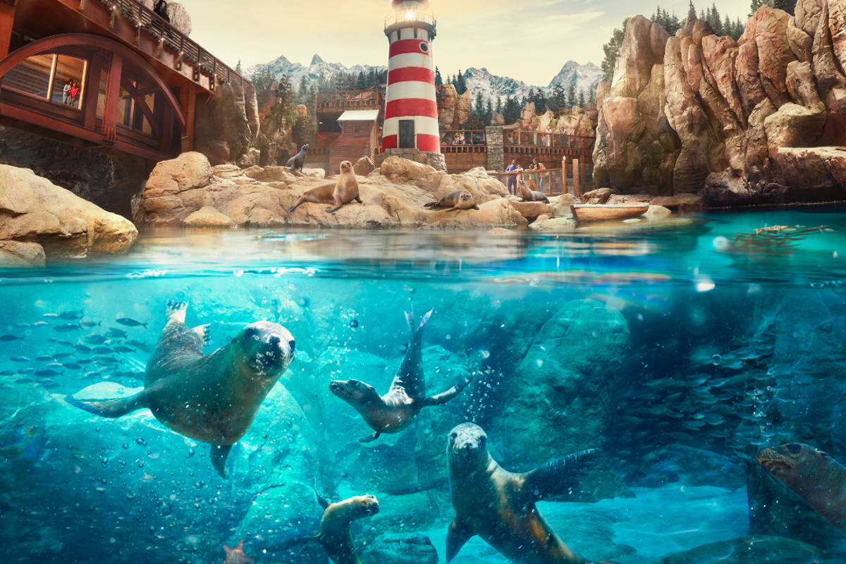 От полюсов до тропиков: тематический парк Sea World