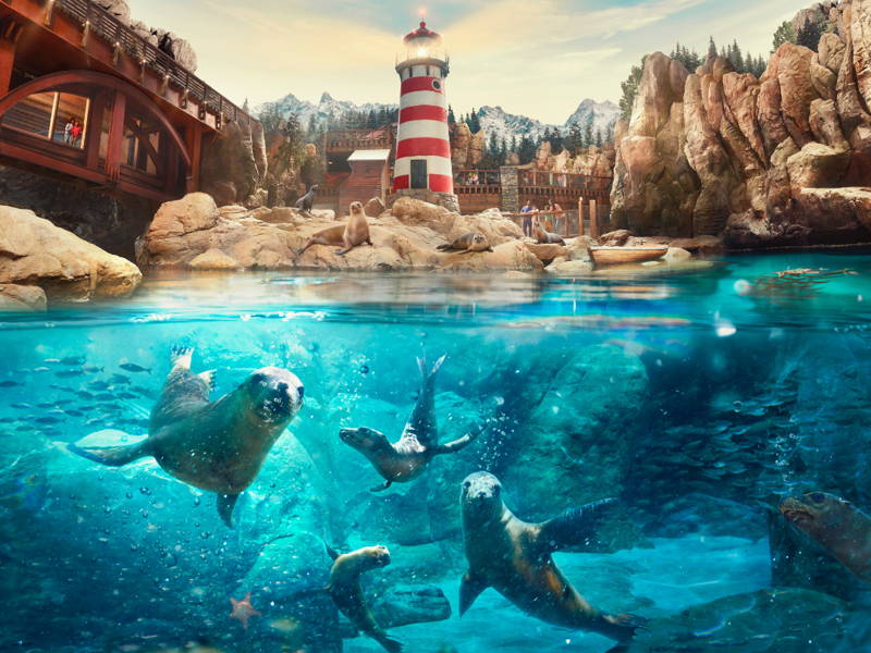 От полюсов до тропиков: тематический парк Sea World