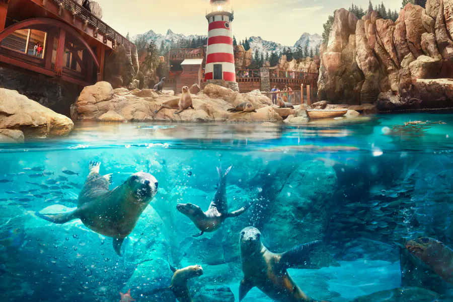 От полюсов до тропиков: тематический парк Sea World — фото 1