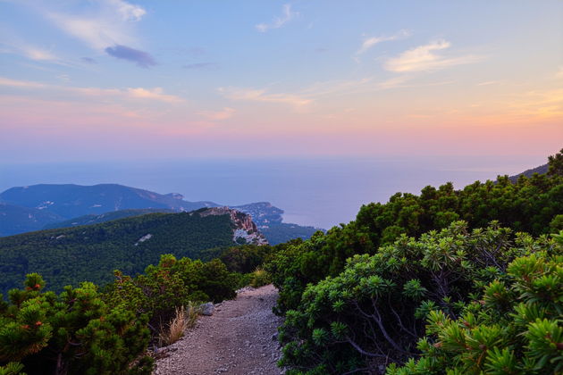 Виды Семейный квест «Посвящение в Робинзоны»