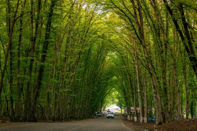 Краски Хызы и высоты Шахдага (Старый город и Вечерний Баку в подарок)