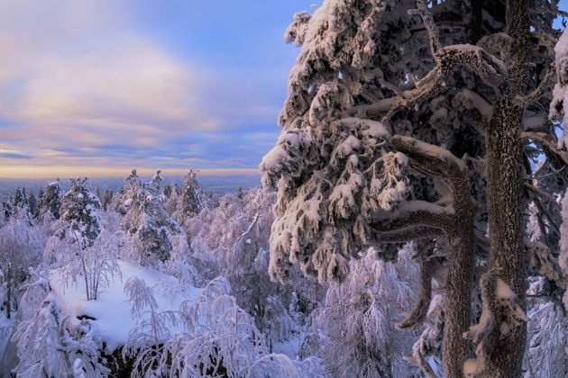 Виды За впечатлением на восток!