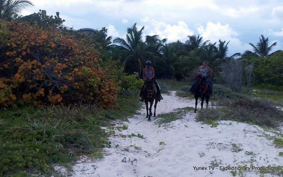 Мексиканское ранчо: дневные и ночные (полнолунные) туры на пляже и джунглям. - фото 11