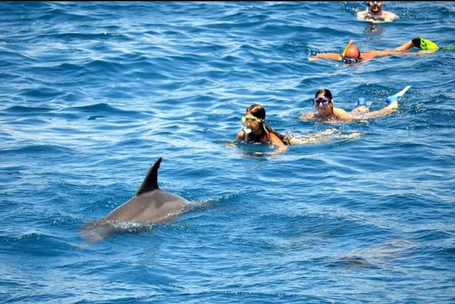 Индивидуальная скоростная лодка для наблюдения за дельфинами и снорклинга - фото 1