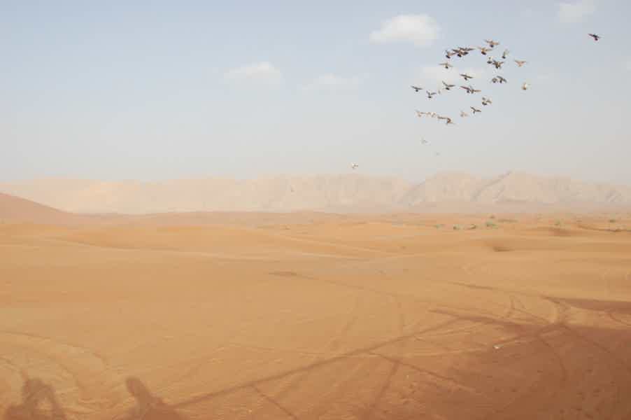 Сафари в пустыне — для тех, кто любит экстрим - фото 4