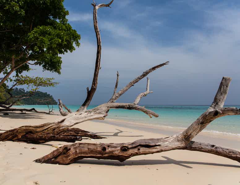 Острова Ко Рок и Ко Ха с Пхукета - фото 5