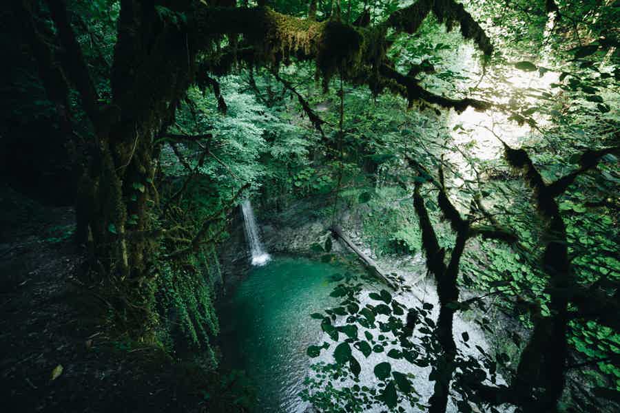 Через фантастический колхидский лес к водопадам Ажек - фото 6