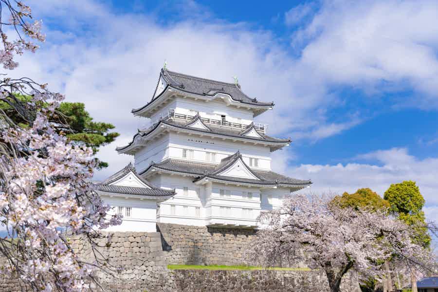 День у подножия Фудзиямы — замок Одавара и природа Хаконе - фото 2