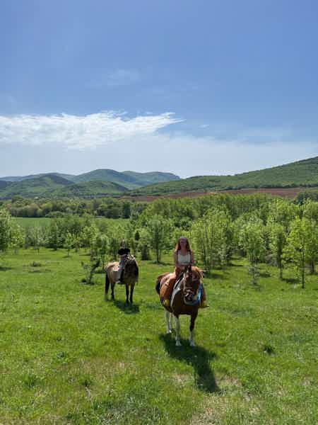 Верхом по Черноречью: конная прогулка - фото 3
