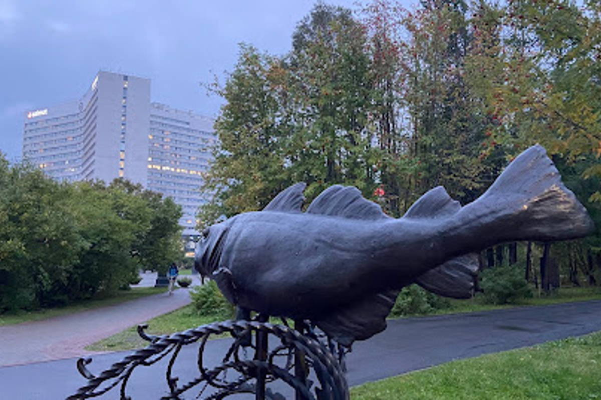 Мурманск, первое знакомство: полярный день, полярная ночь…