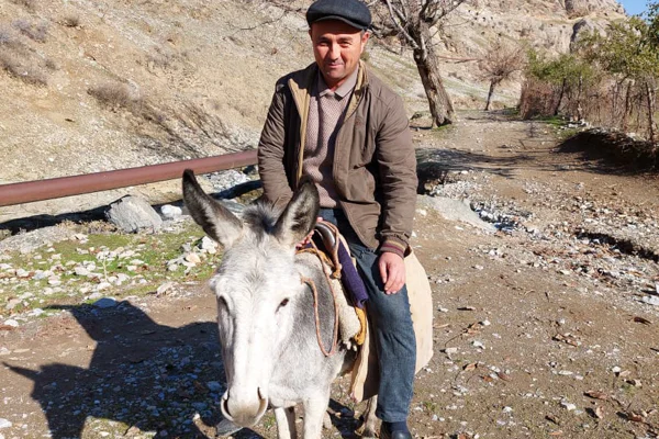 Glamping in Samarkand — photo 5, Samarkand | Pokataem