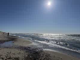 Экскурсия "Куршская коса: золотые дюны, танцующий лес и магия Балтики" - фото отзыва 2