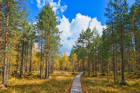 Экскурсия в Керженский заповедник