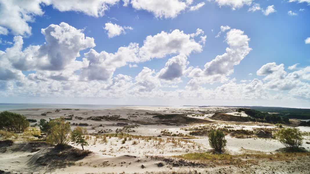Чудеса Куршской Косы-сосны,море,янтарные дюны - фото 4
