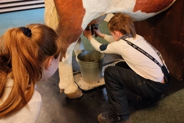Вкус Александровского сырка: экскурсия с дегустацией