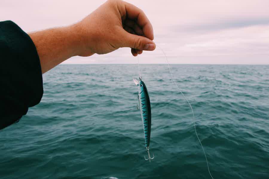 Морская рыбалка - фото 7