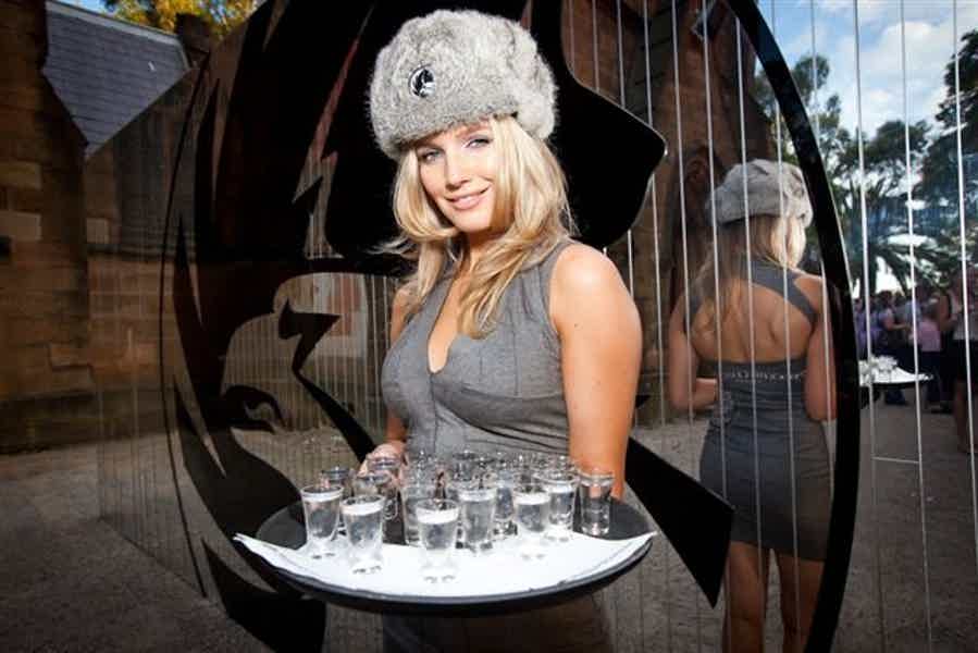 White magic of Russia: introductory vodka-tasting - photo 1