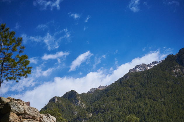 Виды Фотопутешествие из Кисловодска в Кавказскую Швейцарию - Тебердинское ущелье