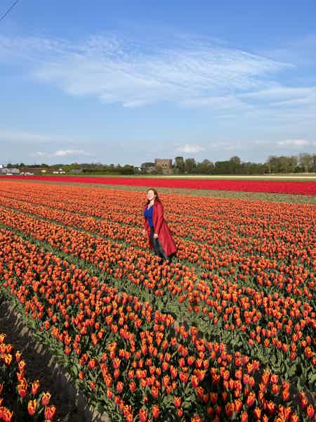 Из Амстердама в парк тюльпанов Кекенкоф - фото 8