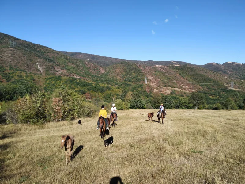 Верхом на коне по горным тропинкам, отдых на Ранчо — фото 4, Тбилиси | Покатаем