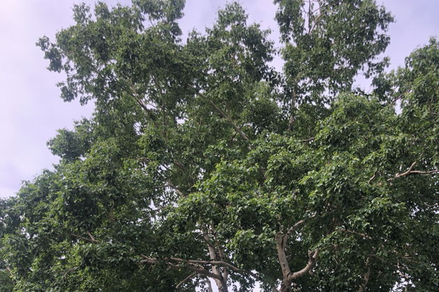 Виды Медвежье сафари у Толмачевского озера