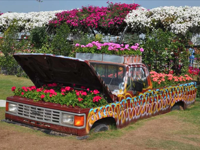 Парк цветов Miracle Garden и ярмарка Global Village из Абу-Даби — фото 7, Абу-Даби | Покатаем