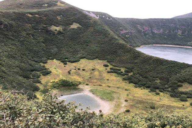 Виды Медвежье сафари у Толмачевского озера