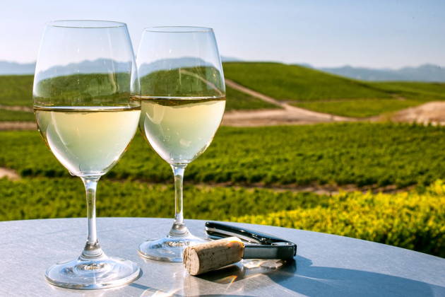 Из Сан-Франциско в винный вояж по долинам Сонома и Напа