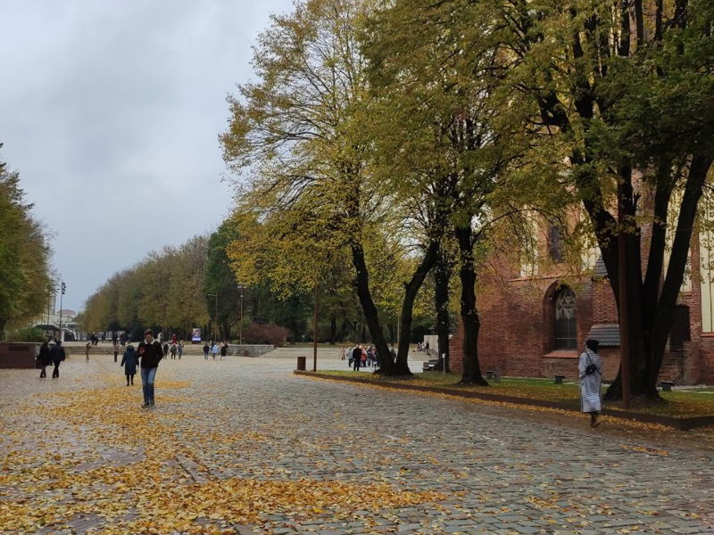 Прогулки по городу К. - экскурсия в Калининград, Россия
