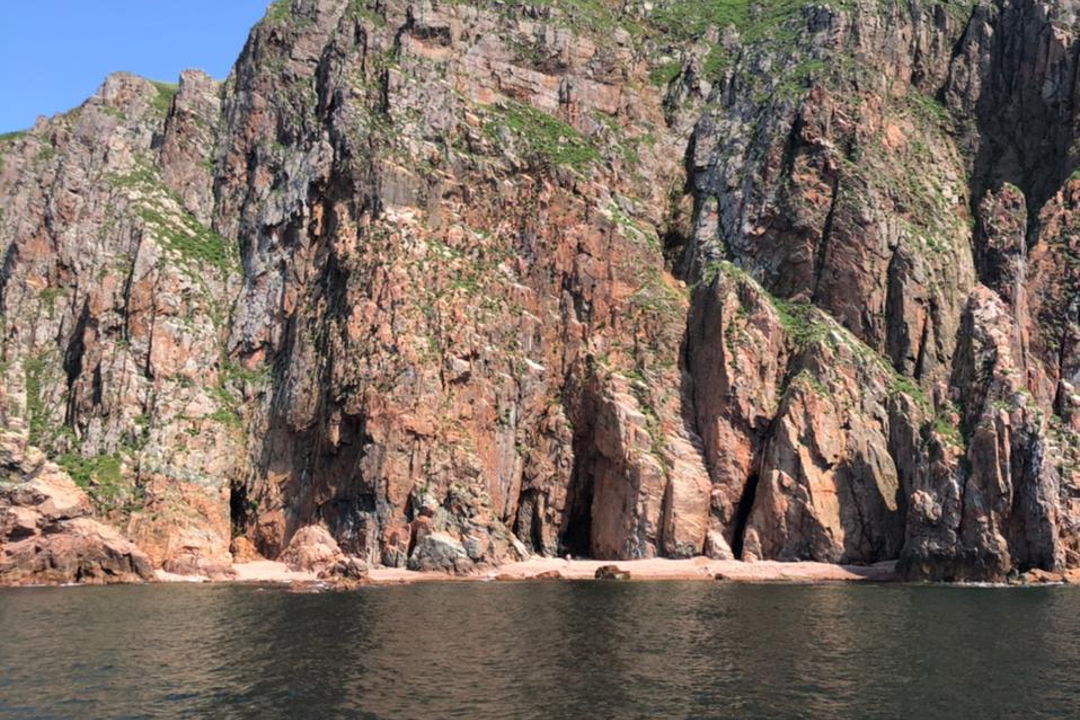 Морское приключение, морские котики и морепродукты во Владивостоке — фото 8