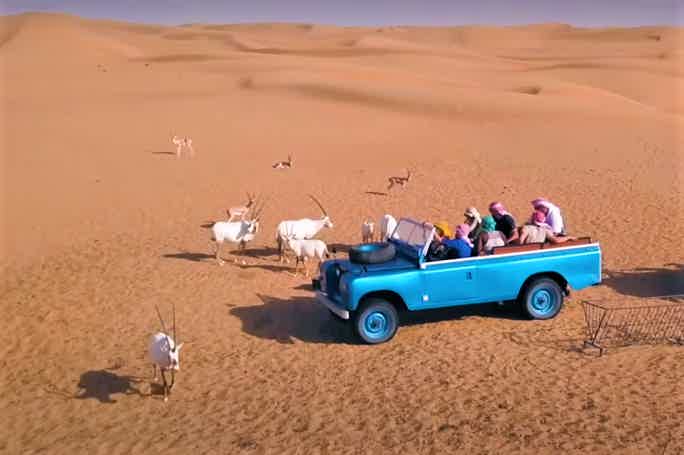 Сафари на ретро-джипах Land Rover по экопарку Аль-Мармум

