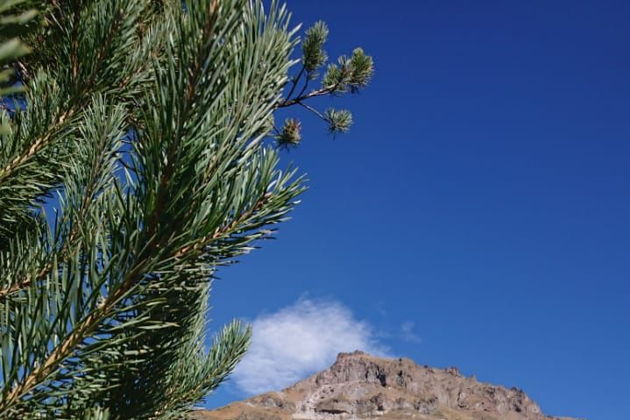 Виды Эльбрус, Гижгит, Поляна нарзанов: поездка из Минеральных вод в мини-группе