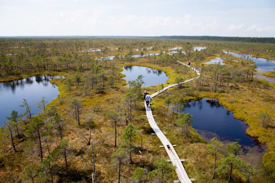 Природная тропа Большого Кемерского болота - фото 3