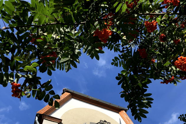 Виды Амалиенау —  истории красивых вилл Калининграда