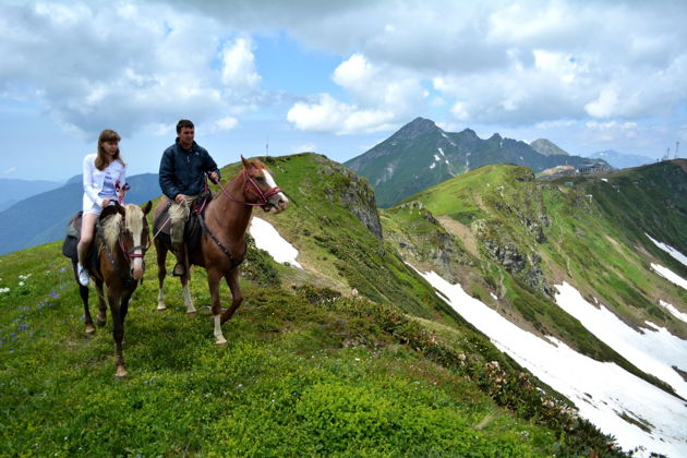 Конные прогулки в Сочи