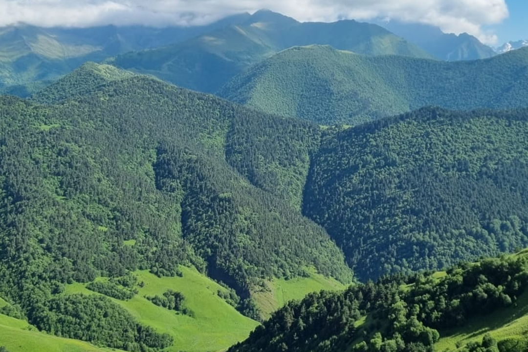 Страна башен: в Ингушетию из Кисловодска — фото 1