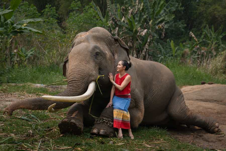 Приключение в джунглях Таиланда: фотосессия со слоном - фото 6
