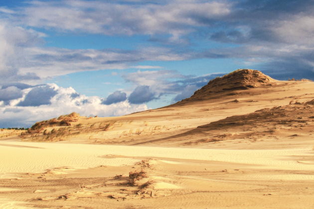 Виды Куршская коса из Светлогорска: Фрингилла, Танцующий лес, высота Эфа