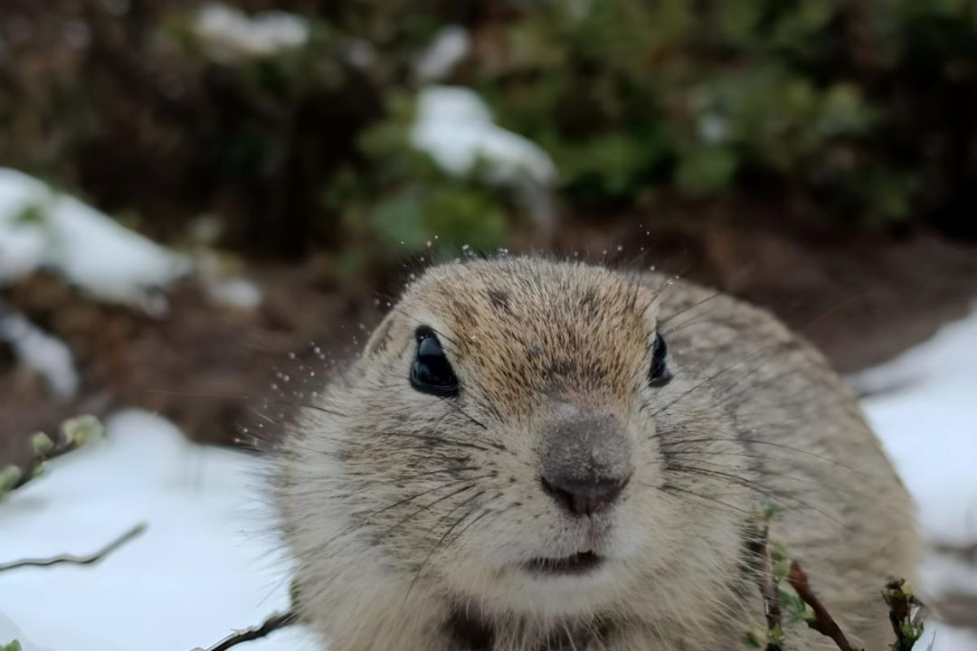 Джилы-Су, Долина нарзанов и водопады из Кисловодска — фото 4