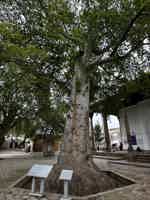 Экскурсия "Шахрисабз и наследие Тимуридов: древний город и горы перевала Тахта-Карача" - фото отзыва 4