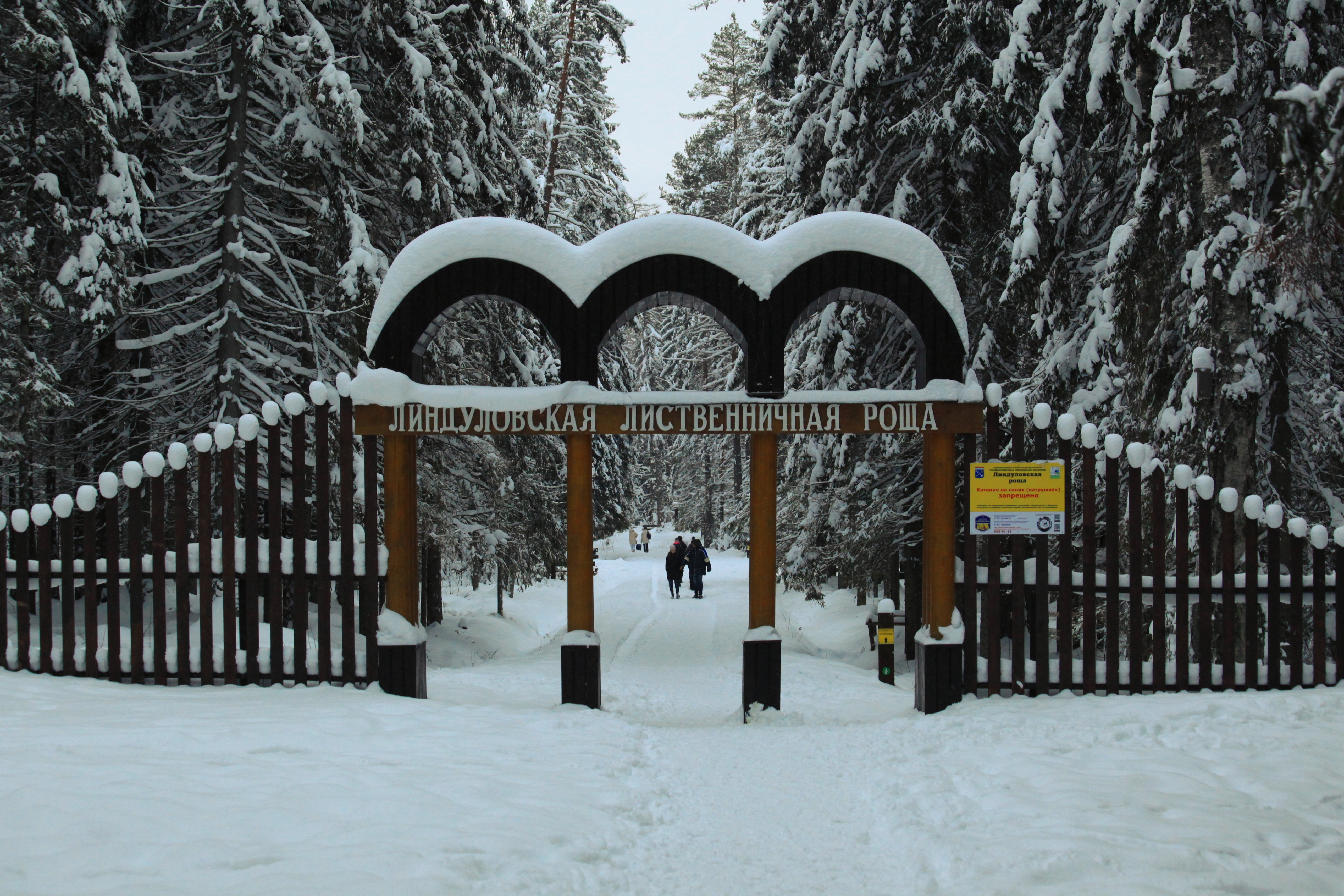 Маршрут Санкт-Петербурга