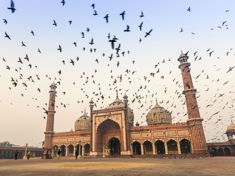 Полный день экскурсии по Дели на авто - экскурсия в Дели, Индия