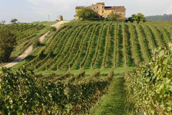 Chianti castles and wine tasting — photo 4, Florence | Pokataem