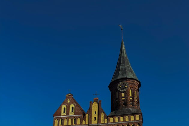 Виды Городские домовые