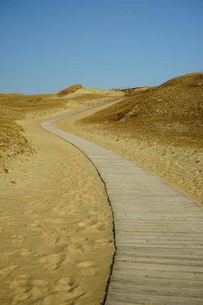 Чудеса Куршской Косы-сосны,море,янтарные дюны - фото 6