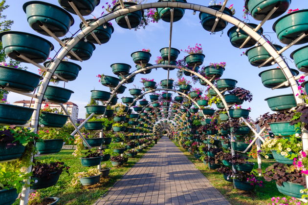 Виды Прогулка по Грозному: дневная и вечерняя экскурсии